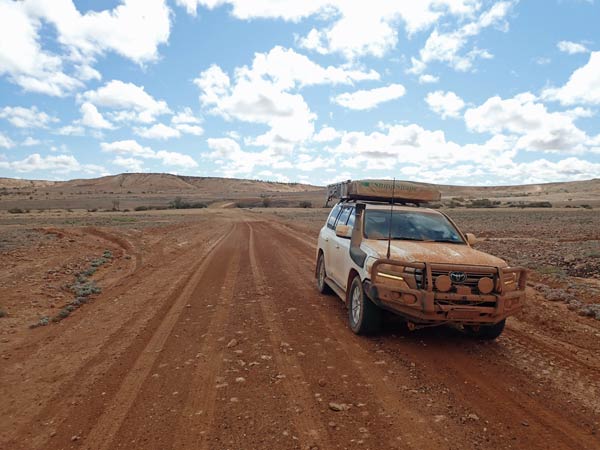 Sturt NP