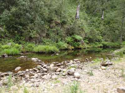 King River