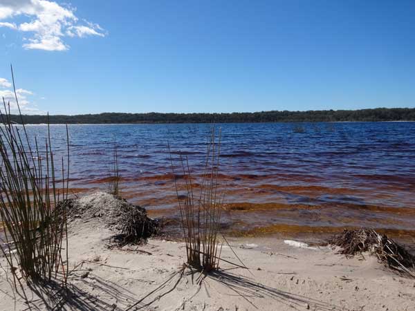 Fraser Island