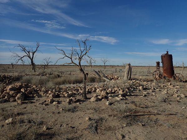 Sturt NP
