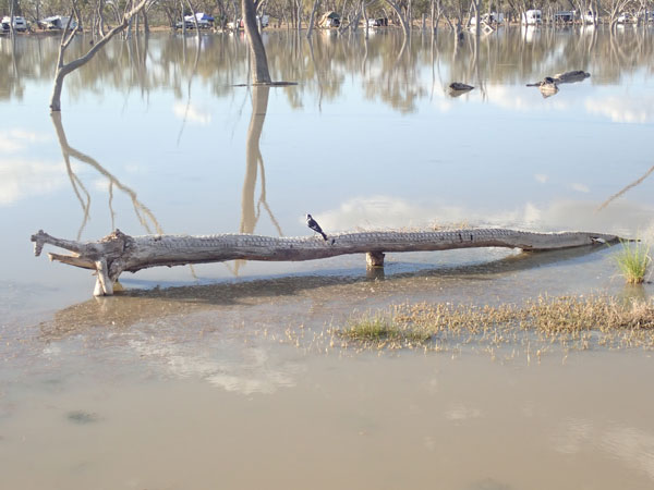 Lara Wetlands