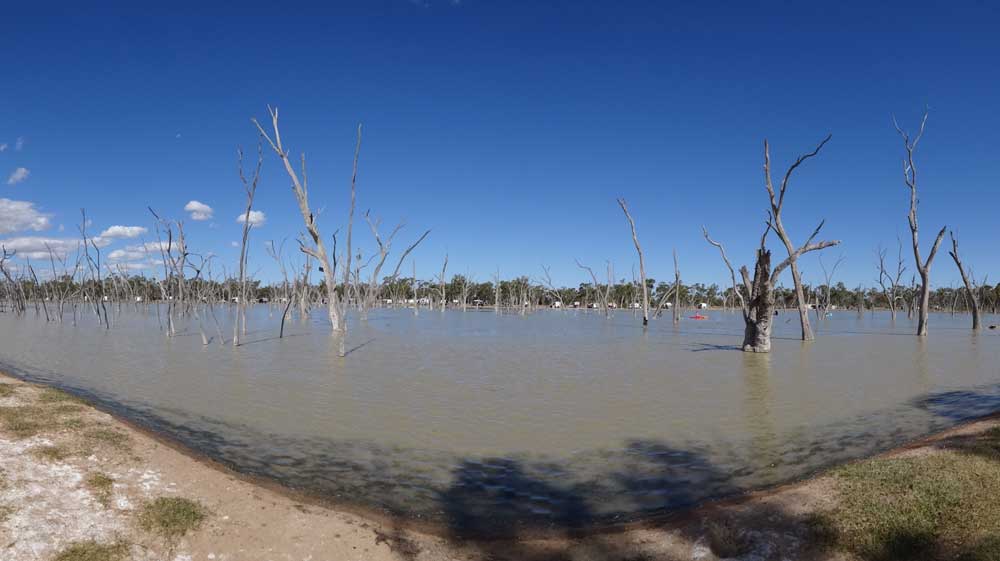 Lara Wetlands
