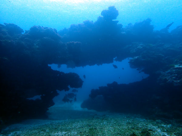 Lord Howe Island