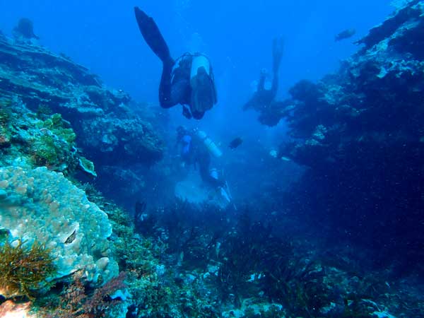 Lord Howe Island