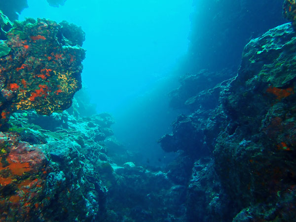 Lord Howe Island