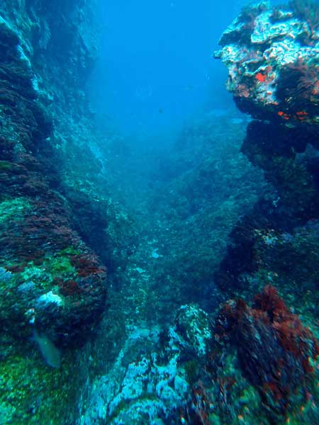 Lord Howe Island