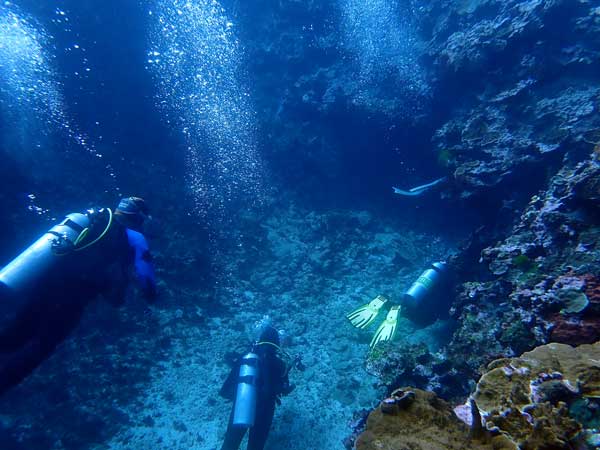 Lord Howe Island