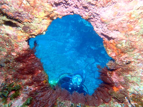 Lord Howe Island