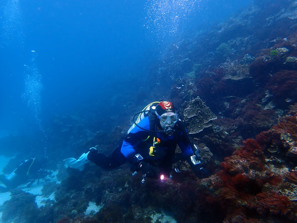Lord Howe Island