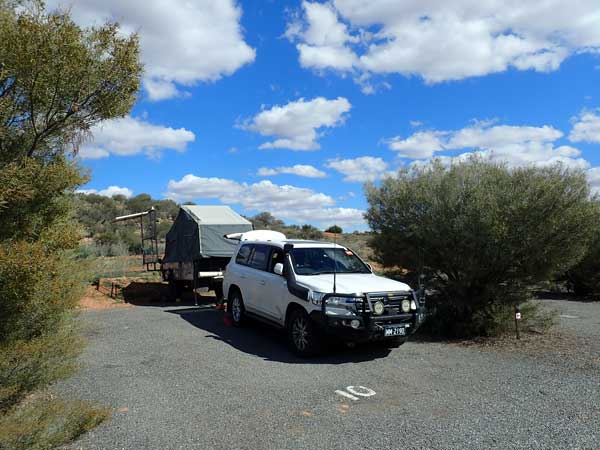 Living Desert