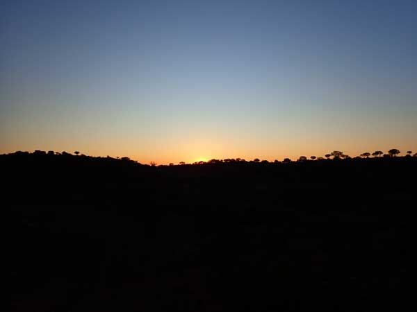 Living Desert