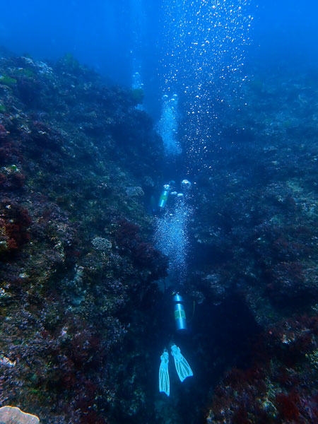 Lord Howe Island