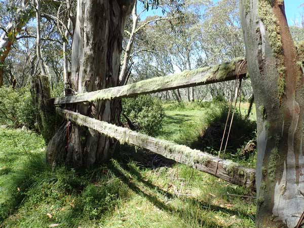 Victorian High Country