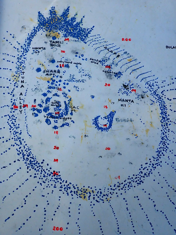 Manta Bowl