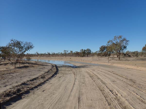 Sturt NP