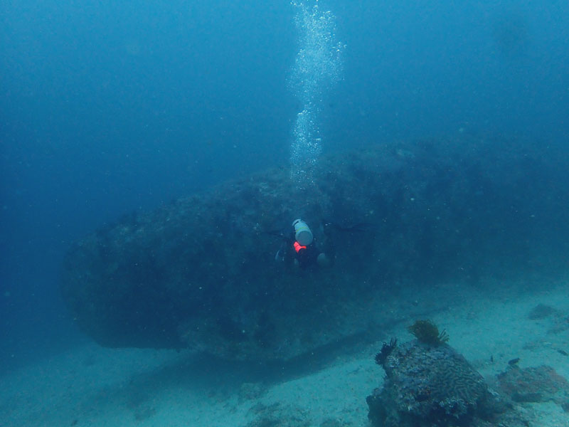 Monkey Wreck