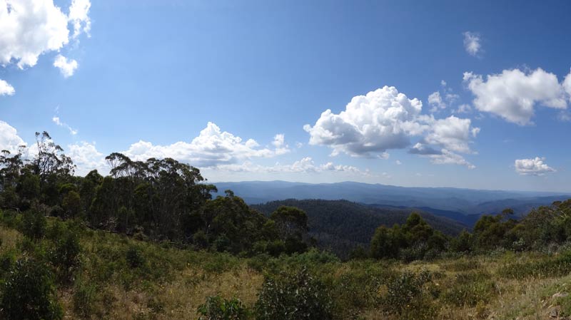 Mount Birregun