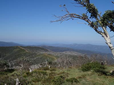 Mount Pinnibar