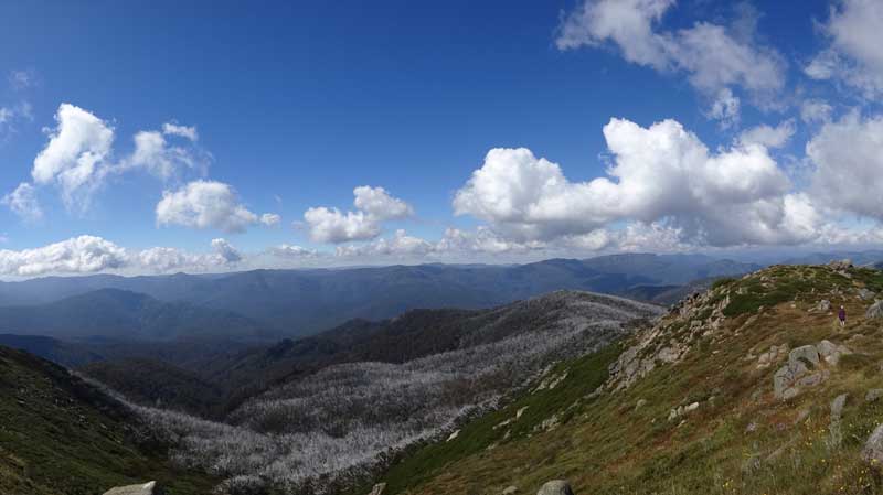 Victorian High Country