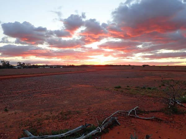 Sturt NP