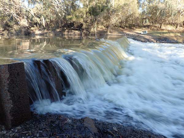Mungindi