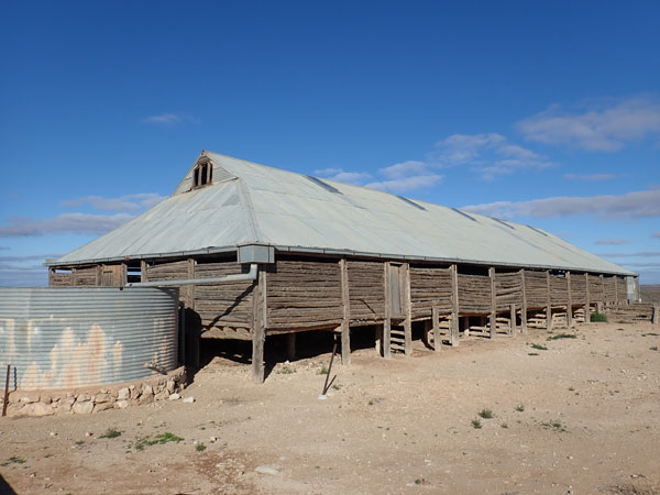 Mungo NP