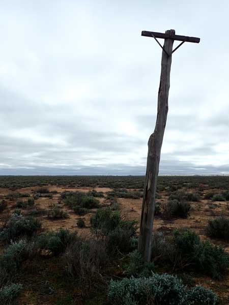 Mungo NP