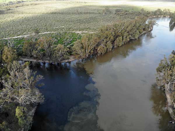 Murray Murrumbidgee