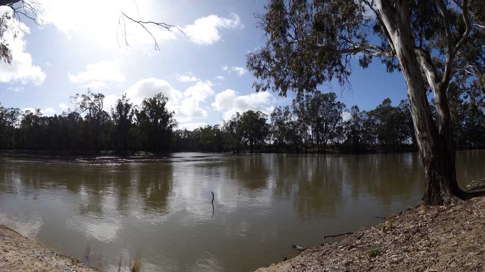 Murray Murrumbidgee