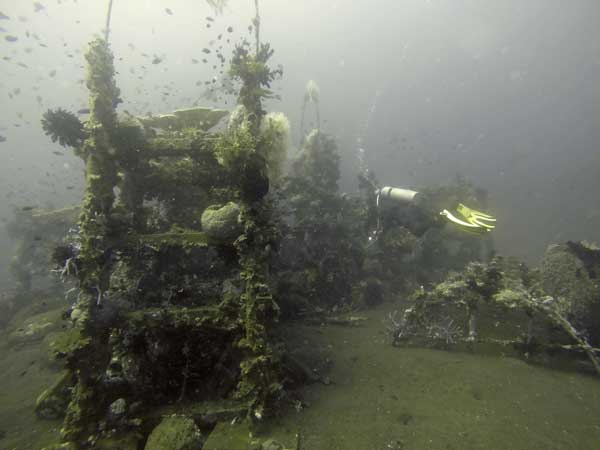 Noisy Reef