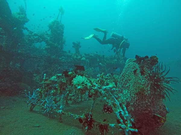 Noisy Reef