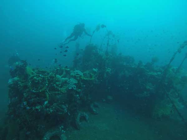 Noisy Reef