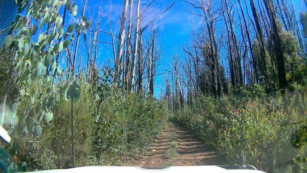 Victorian High Country