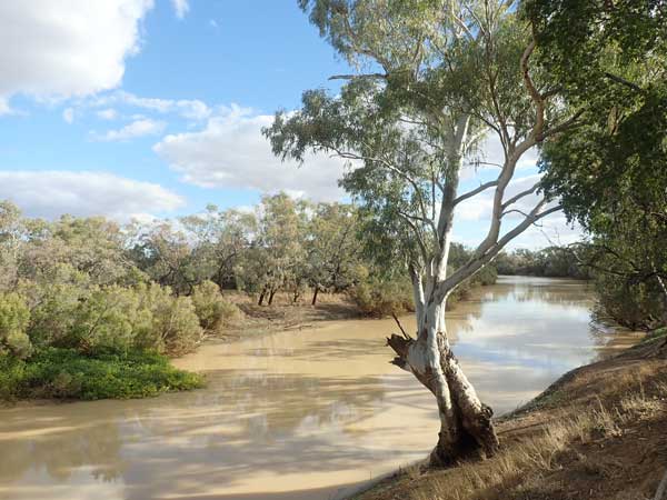 Oma Waterhole