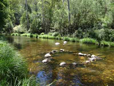Pickerings Flat Camping Area