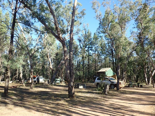 Pilliga
