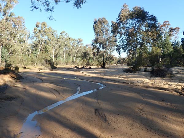 Pilliga