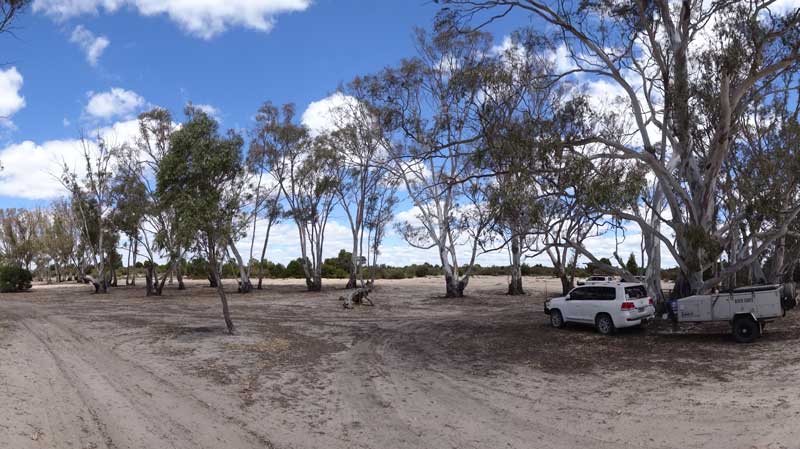 Coburns Track