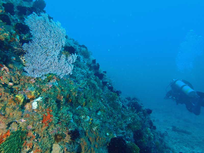 Sinandigan Wall