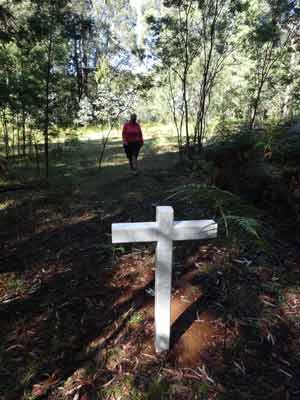 Stringybark Creek