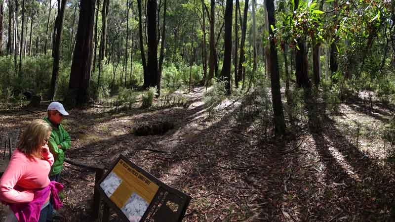 Stringybark Creek
