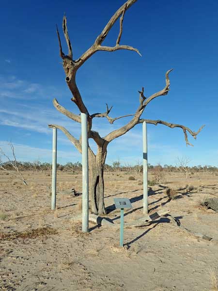 Sturt NP