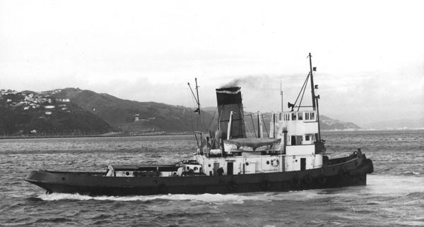 Tui Tawate