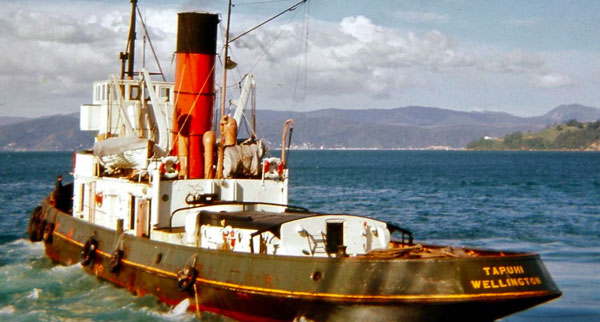 Tui Tawate