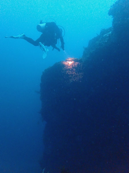 Shark Cave