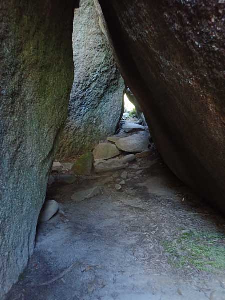 Tenterfield