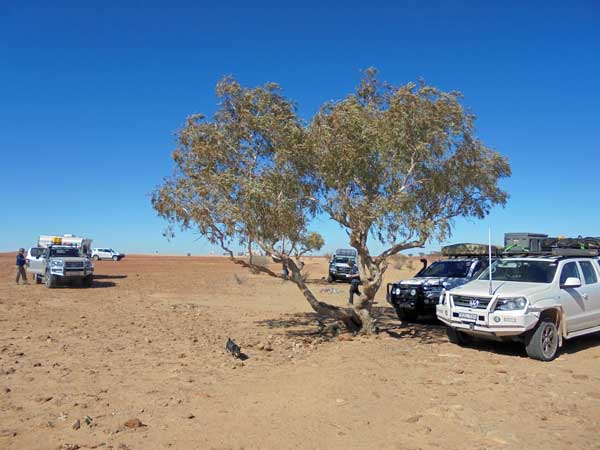 Birdsville Track