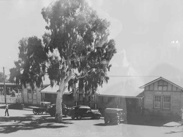 Barcaldine