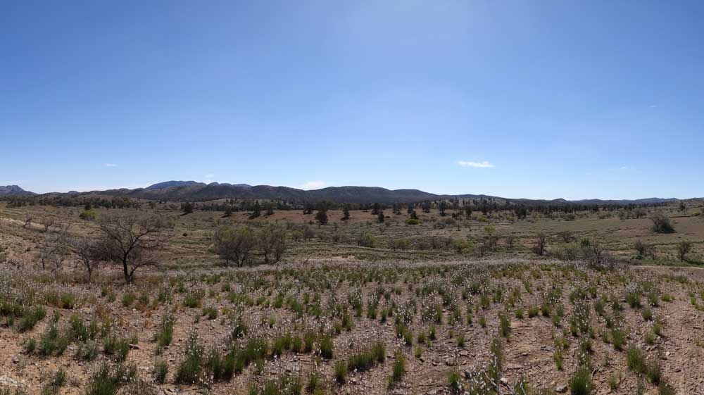 Flinders Ranges