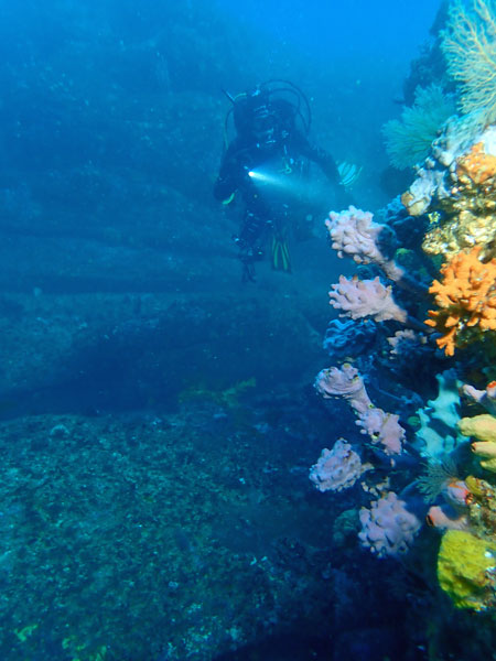 Truck Tyre Reef